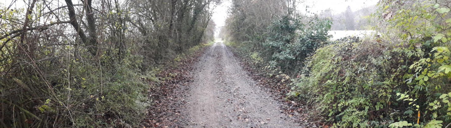 chemin